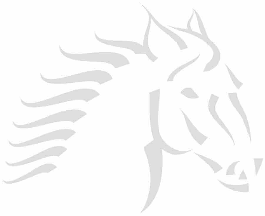 Advanced Horse (Light Gray)