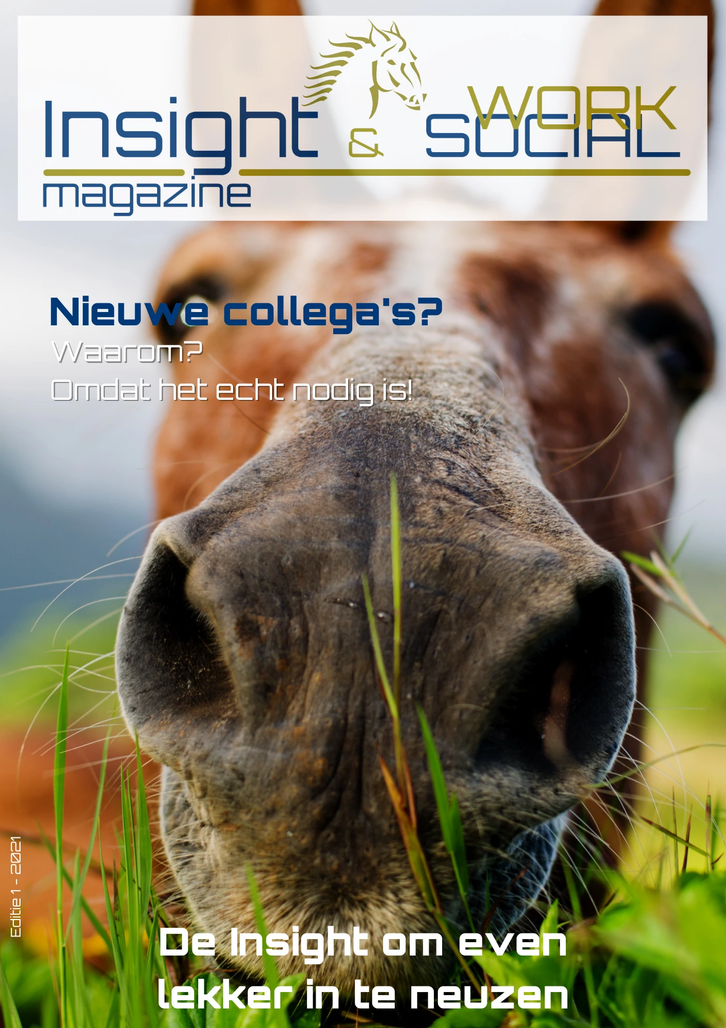 Insight Summer Editie 2021 Final V 1.0